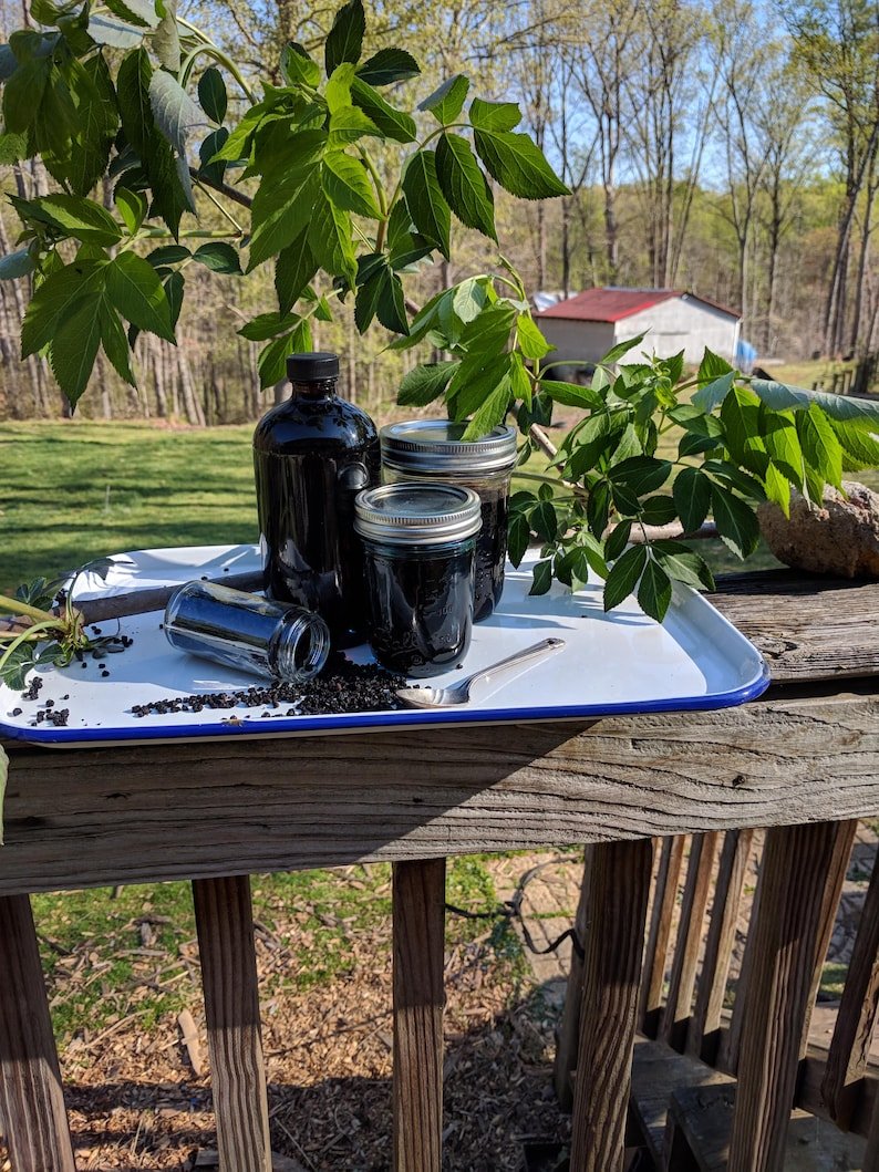 Essential OIls Blend - DEFEND